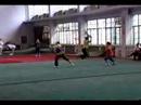 Chinese Wushu demonstration
